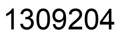 Number 1309204 black image