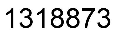 Number 1318873 black image