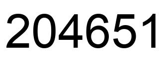 Number 204651 black image