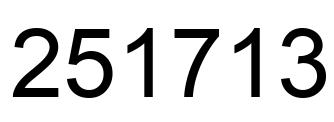 Number 251713 black image