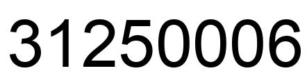 Number 31250006 black image