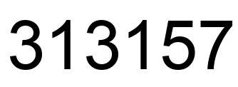 Number 313157 black image