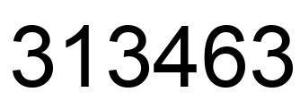 Number 313463 black image