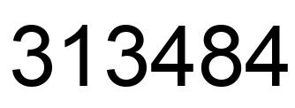 Number 313484 black image