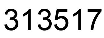 Number 313517 black image