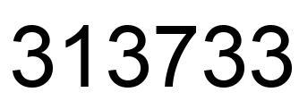 Number 313733 black image