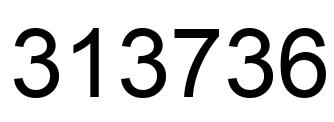 Number 313736 black image
