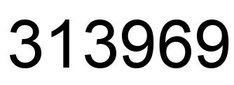 Number 313969 black image