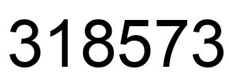 Number 318573 black image