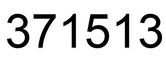 Number 371513 black image