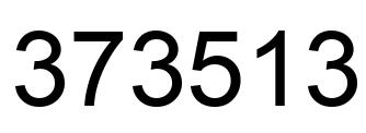Number 373513 black image