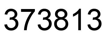 Number 373813 black image