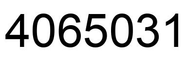 Number 4065031 black image