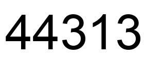Número 44313 imagen negro