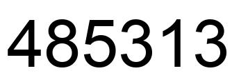 Number 485313 black image