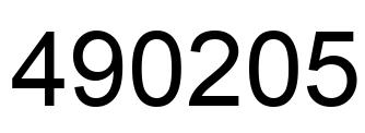 Number 490205 black image