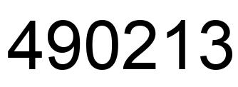 Number 490213 black image