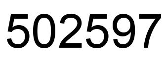 Number 502597 black image