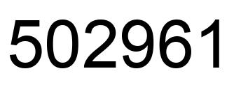 Number 502961 black image