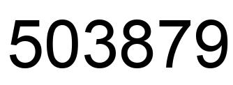 Number 503879 black image