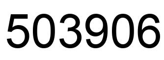 Number 503906 black image