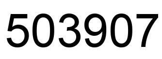 Number 503907 black image