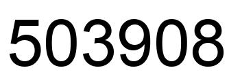 Number 503908 black image