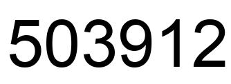 Number 503912 black image