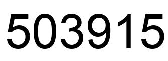 Number 503915 black image