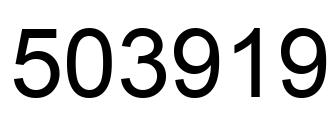 Number 503919 black image