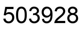 Number 503928 black image