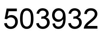 Number 503932 black image