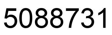 Number 5088731 black image