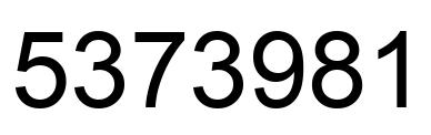 Number 5373981 black image