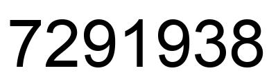 Number 7291938 black image