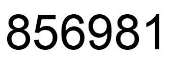 Number 856981 black image