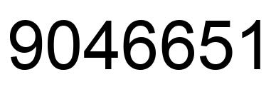 Number 9046651 black image