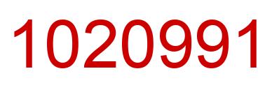 Number 1020991 red image