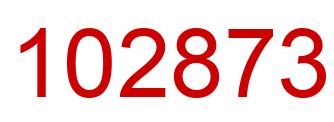 Number 102873 red image