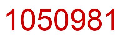 Number 1050981 red image