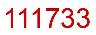 Number 111733 red image