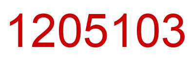 Number 1205103 red image