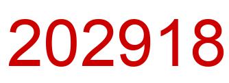 Number 202918 red image