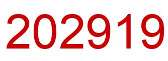 Number 202919 red image