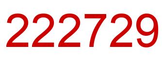Number 222729 red image