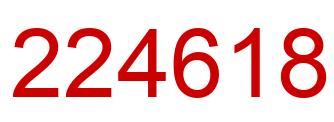 Number 224618 red image