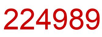 Number 224989 red image