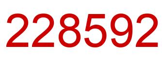 Number 228592 red image
