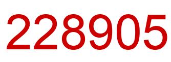 Number 228905 red image