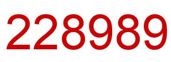 Number 228989 red image
